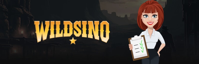 Review: Bedeutung von Draw No Bet bei Wildsino Casino erklärt